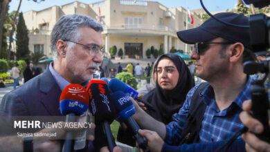 ظفرقندی: سکوهای حمل و نقل دارویی در مرحله بهره برداری است - خبرگزاری مهر ایران و جهان