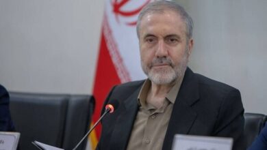 ذوالفقاری: 90 درصد نیاز دارویی با پرورش شقایق تامین می شود - خبرگزاری مهر ایران و جهان