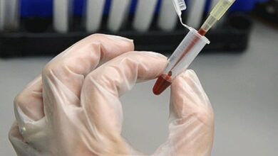 برگزاری کمپین "یک سلول در تو، یک زندگی را نجات بده" - خبرگزاری مهر ایران و جهان