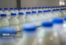 ردپای «لبنیات» در افزایش بار پوکی استخوان! - خبرگزاری مهر اخبار ایران و جهان