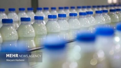 ردپای «لبنیات» در افزایش بار پوکی استخوان! - خبرگزاری مهر اخبار ایران و جهان