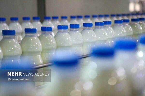 ردپای «لبنیات» در افزایش بار پوکی استخوان! - خبرگزاری مهر اخبار ایران و جهان