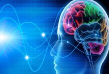 علائم اولیه ام اس چندین سال زودتر ظاهر می شود - خبرگزاری مهر ایران و جهان