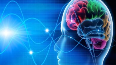 علائم اولیه ام اس چندین سال زودتر ظاهر می شود - خبرگزاری مهر ایران و جهان