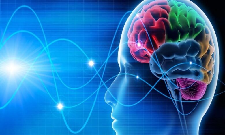 علائم اولیه ام اس چندین سال زودتر ظاهر می شود - خبرگزاری مهر ایران و جهان