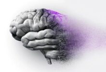 موسیقی به کاهش 40 درصدی زوال عقل کمک می کند - خبرگزاری مهر ایران و جهان