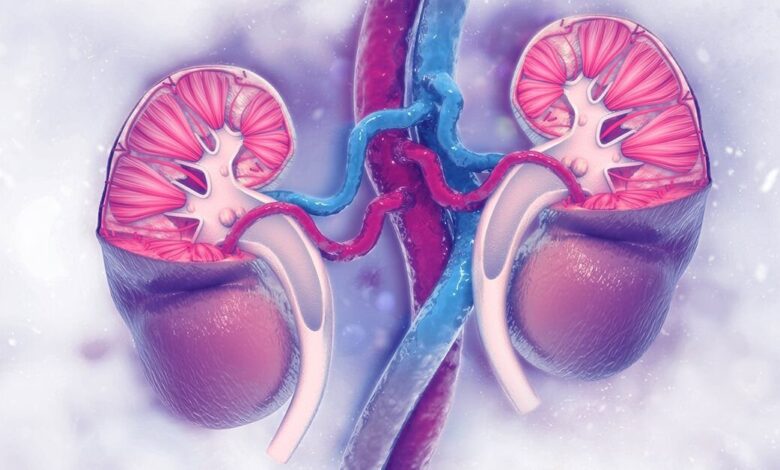 کولیک کلیوی چیست و چگونه تشخیص داده می شود؟