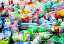 میکروپلاستیک؛ تهدیدی جدی برای سلامت انسان