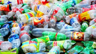 میکروپلاستیک؛ تهدیدی جدی برای سلامت انسان