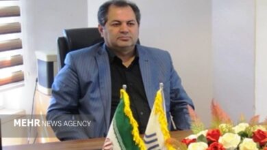 بستانی: ورود پزشکان متخصص نفس تازه ای برای درمان خوزستان است - خبرگزاری مهر ایران و جهان