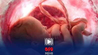 کاهش چشمگیر تعداد سقط جنین در کشور با اجرای قانون