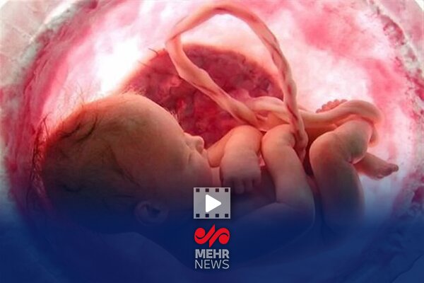 کاهش چشمگیر تعداد سقط جنین در کشور با اجرای قانون