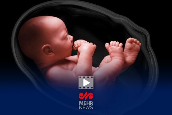 طرح نفس؛ 15000 جنینی که قرار نبود الان در مرحله بارداری هستند