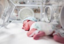 رئیسی: تعداد تولدها به زیر یک میلیون رسید - خبرگزاری مهر ایران و جهان