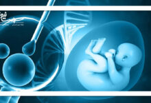 سلول‌های بنیادی خون قاعدگی؛ راهی نوین برای درمان اختلالات باروری