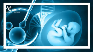 سلول‌های بنیادی خون قاعدگی؛ راهی نوین برای درمان اختلالات باروری