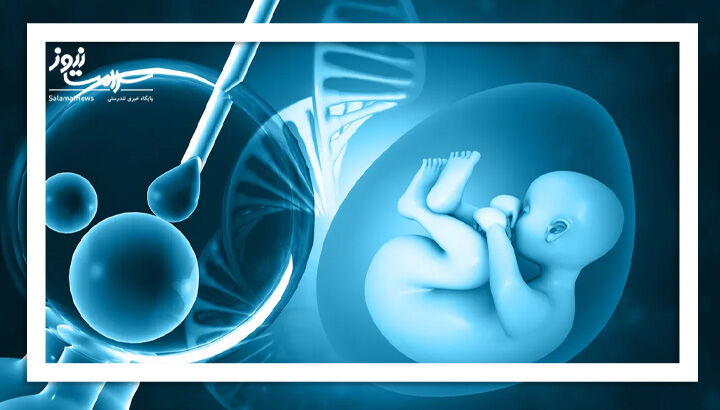 سلول‌های بنیادی خون قاعدگی؛ راهی نوین برای درمان اختلالات باروری