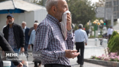 تاثیر "آلودگی هوا" بر افزایش مصرف دارو و هزینه های سلامت - خبرگزاری مهر ایران و جهان