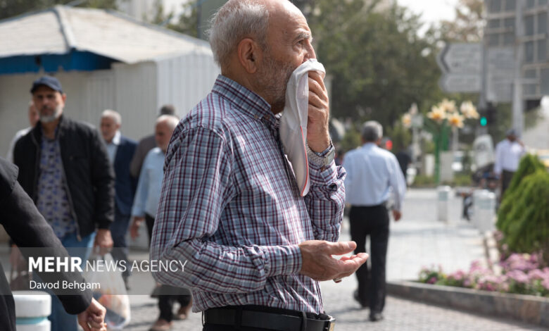 تاثیر "آلودگی هوا" بر افزایش مصرف دارو و هزینه های سلامت - خبرگزاری مهر ایران و جهان