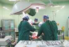 آیا مرگ مغزی پایان قطعی زندگی است؟