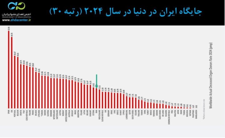 مرگ مغزی، مرگ قطعی; رسانه ها نقش موثری در اطلاع رسانی جامعه دارند