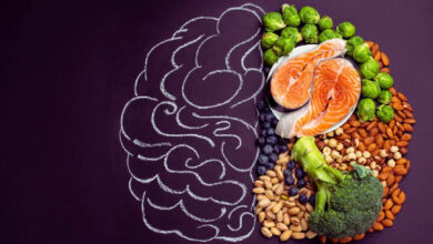 غذاهای مفید برای تقویت حافظه و تمرکز را بشناسید