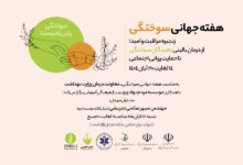 برگزاری وبینار فرهنگی آموزشی، به مناسبت هفته جهانی سوختگی