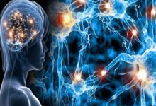 یائسگی تاثیری بر پیشرفت بیماری ام اس ندارد - خبرگزاری مهر ایران و جهان