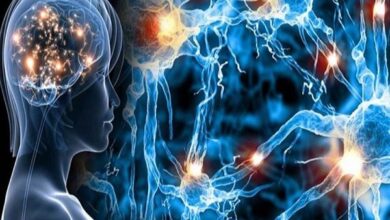 یائسگی تاثیری بر پیشرفت بیماری ام اس ندارد - خبرگزاری مهر ایران و جهان