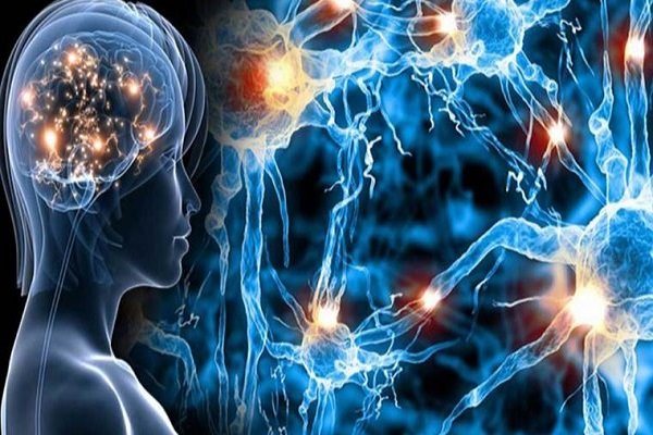 یائسگی تاثیری بر پیشرفت بیماری ام اس ندارد - خبرگزاری مهر ایران و جهان