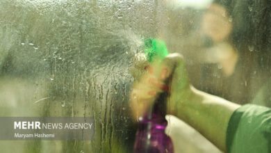 شوینده های خانگی و خطر آسیب به دستگاه تنفسی - خبرگزاری مهر ایران و جهان