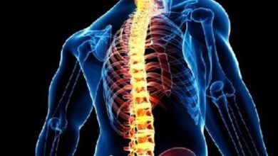 افزایش درد و مشکلات ستون فقرات در نسل جوان - خبرگزاری مهر ایران و جهان