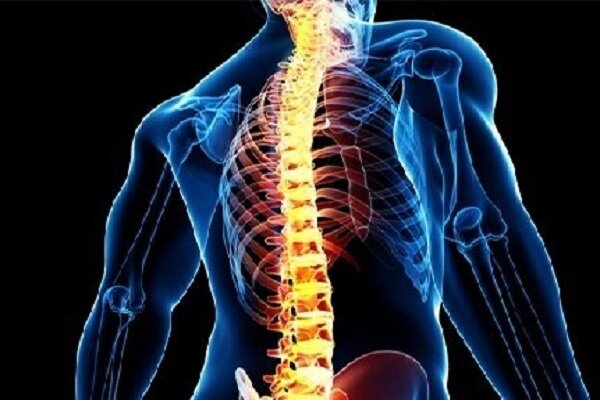 افزایش درد و مشکلات ستون فقرات در نسل جوان - خبرگزاری مهر ایران و جهان