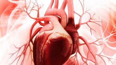 بیماری های قلبی بیماری های عروق کرونر قلب درمان بیماری های قلبی - دکتر پریسا مولایی