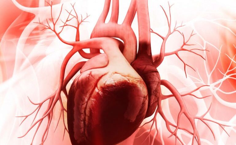 بیماری های قلبی بیماری های عروق کرونر قلب درمان بیماری های قلبی - دکتر پریسا مولایی