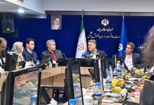 معاون وزیر بهداشت: فردا برای جوانان جمعیت دیر است - خبرگزاری مهر ایران و جهان