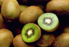 میوه ای برای درمان یبوست - خبرگزاری مهر ایران و جهان