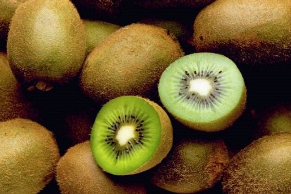 میوه ای برای درمان یبوست - خبرگزاری مهر ایران و جهان