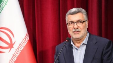 جشنواره "ایران جوان" باید پیام امید و آینده نگری را به جامعه برساند - خبرگزاری مهر ایران و جهان