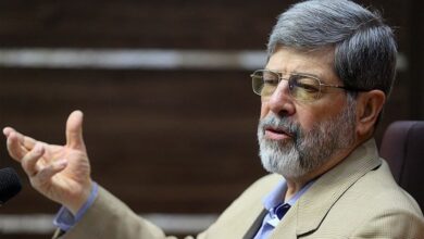 اجرای برنامه «تکامل اوائل کودکی» برای اصلاح نظام آموزشی و کشف نخبگان ضروری است 