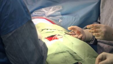 1200 اهدای عضو و 1000 پیوند موفقیت آمیز در سال 1403 ثبت شد.