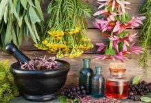 طب سنتی باید در کانون توجه قانونگذاران قرار گیرد