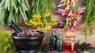 طب سنتی باید در کانون توجه قانونگذاران قرار گیرد