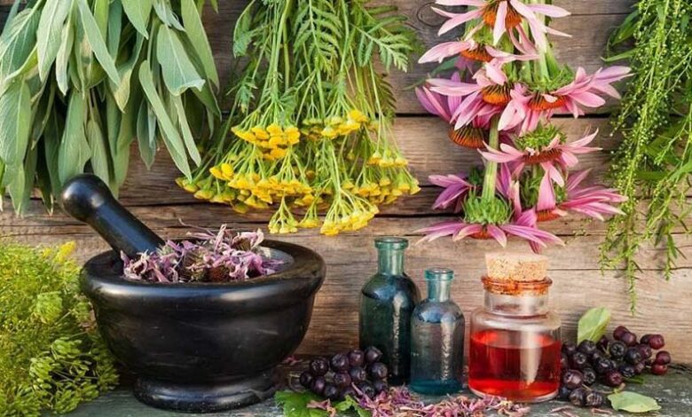 طب سنتی باید در کانون توجه قانونگذاران قرار گیرد