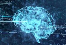 چهاردهمین کنگره علوم اعصاب ایران با محوریت «علوم اعصاب و پزشکی شخصی‌سازی‌شده» در تهران برگزار می‌شود