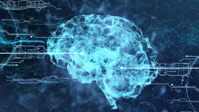 چهاردهمین کنگره علوم اعصاب ایران با محوریت «علوم اعصاب و پزشکی شخصی‌سازی‌شده» در تهران برگزار می‌شود