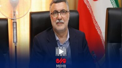 وزیر بهداشت: تغییری در ارز دارویی رخ نداده است - خبرگزاری مهر ایران و جهان