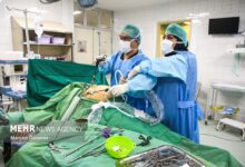 توجه به دو عامل تاثیرگذار در ارتقای کیفیت خدمات سلامت - خبرگزاری مهر ایران و جهان