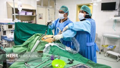 توجه به دو عامل تاثیرگذار در ارتقای کیفیت خدمات سلامت - خبرگزاری مهر ایران و جهان