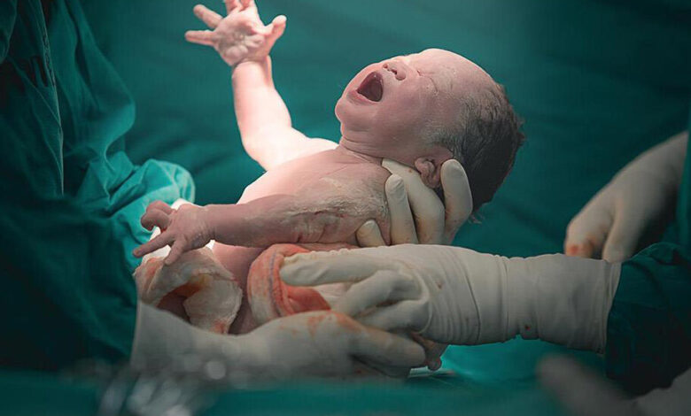 تولد 360 نوزاد در بیمارستان شفای سمنان - خبرگزاری مهر ایران و جهان